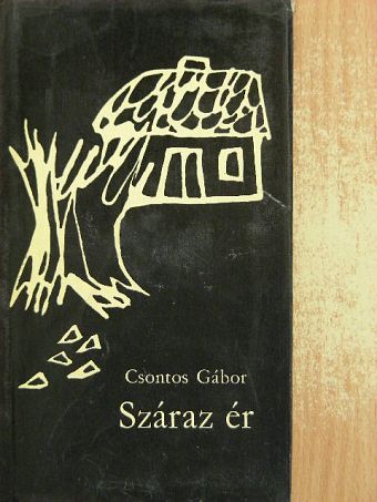 Csontos Gábor - Száraz ér [antikvár]