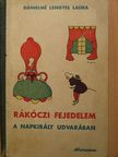 Dánielné Lengyel Laura - Rákóczi fejedelem a Napkirály udvarában [antikvár]