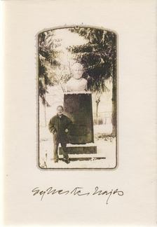 Váry O. Péter - Sylvester Lajos [antikvár]