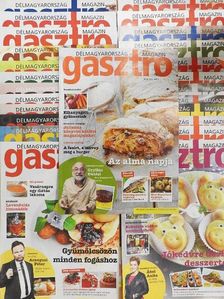 Délmagyarország - Gasztro magazin 2016. január-december [antikvár]