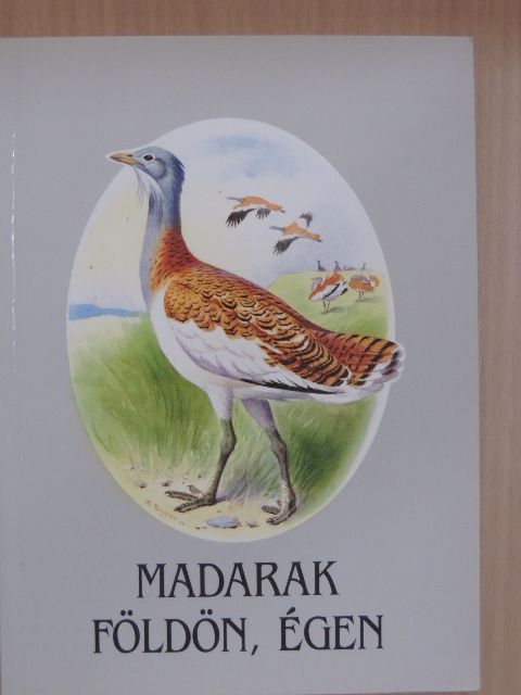 Schmidt Egon - Madarak földön, égen [antikvár]