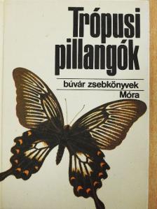 Mészáros Zoltán - Trópusi pillangók [antikvár]