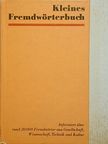 Günter Gurst - Kleines Fremdwörterbuch [antikvár]