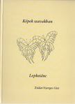 Zsidai-Nyerges Gizi - Képek szavakban - Lepketánc [antikvár]