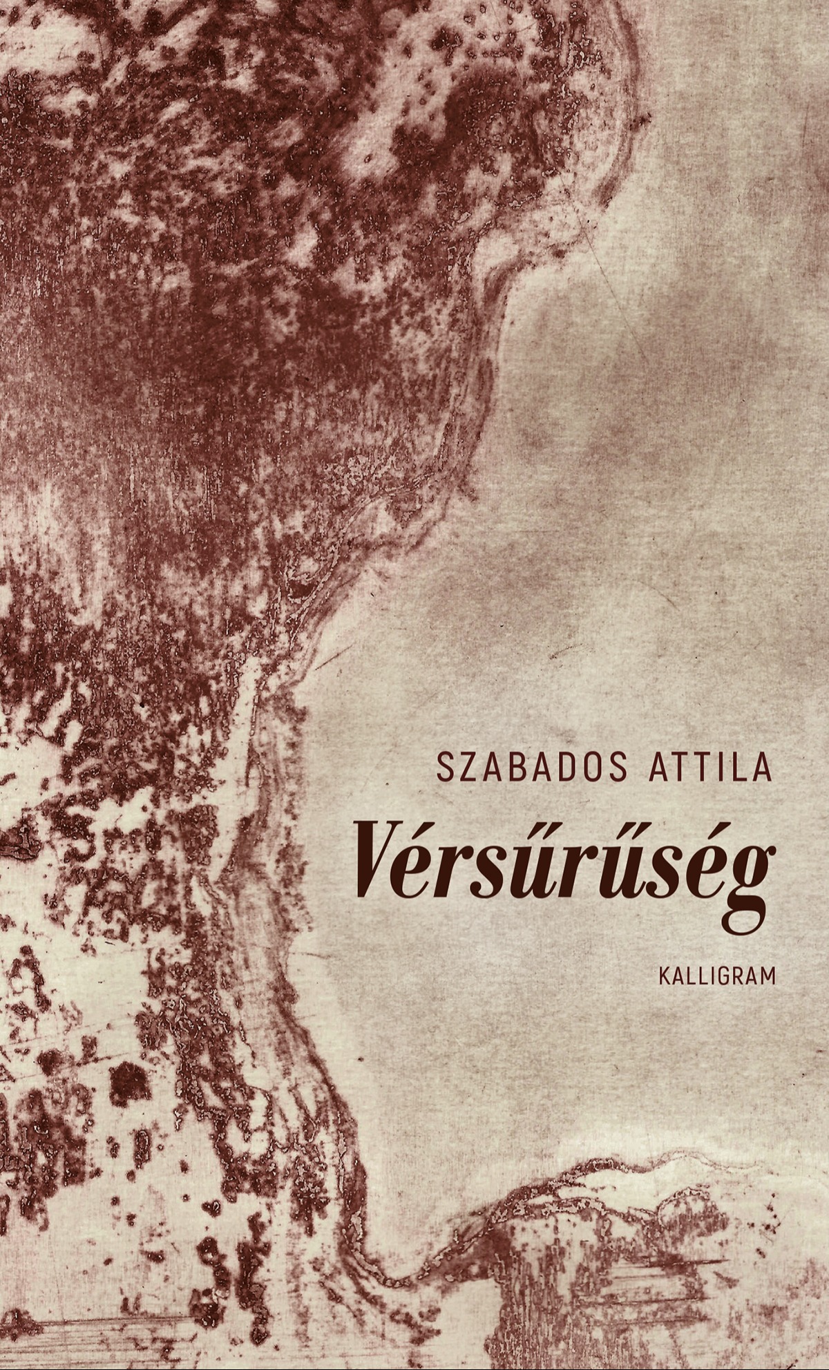 Szabados Attila - Vérsűrűség [eKönyv: epub, mobi]