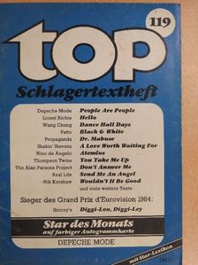 Albert Hammond - Top Schlagertextheft 119 [antikvár]