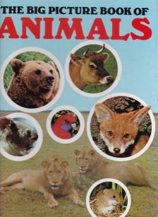 The Big Picture Book of Animals [antikvár]