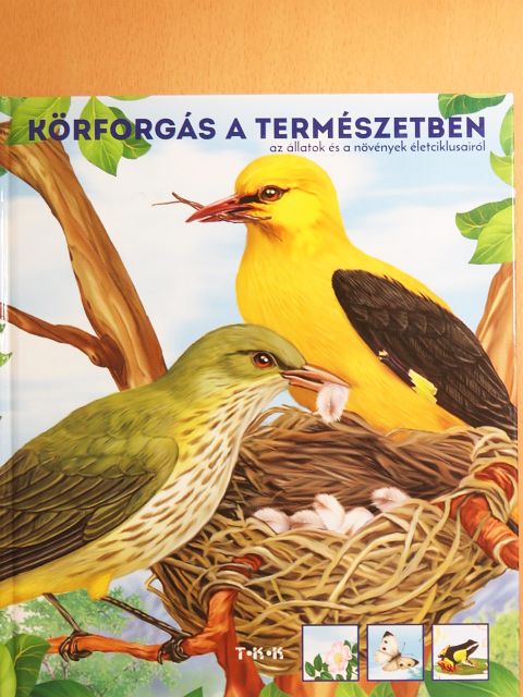 Körforgás a természetben [antikvár]