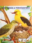 Körforgás a természetben [antikvár]