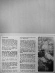Dieter Stork - Ich Freue Mich [antikvár]