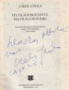 CSEHI GYULA - Felvilágosodástól felvilágosodásig (dedikált) [antikvár]