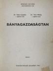 Dr. Faller Gusztáv - Bányagazdaságtan (rossz állapotú) [antikvár]