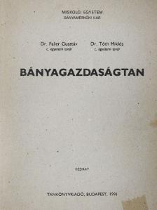 Dr. Faller Gusztáv - Bányagazdaságtan (rossz állapotú) [antikvár]