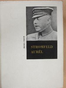 Hetés Tibor - Stromfeld Aurél (dedikált példány) [antikvár]