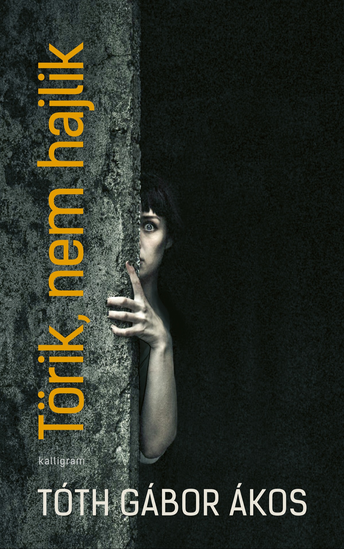 TÓTH GÁBOR ÁKOS - Törik, nem hajlik [eKönyv: epub, mobi]
