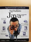 Bert Bates - Agyhullám: Java [antikvár]