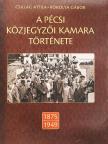 Csillag Attila - A pécsi közjegyzői kamara története [antikvár]