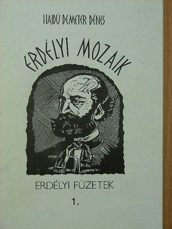 Hajdú Demeter Dénes - Erdélyi mozaik [antikvár]