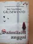 Jon Courtenay Grimwood - Száműzött angyal [antikvár]