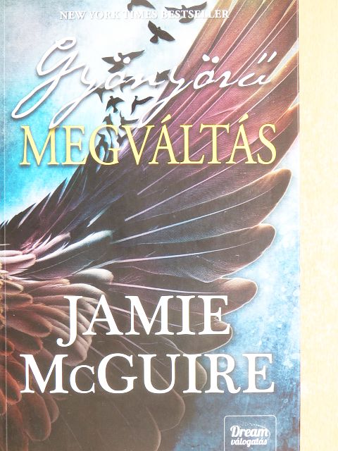 Jamie McGuire - Gyönyörű megváltás [antikvár]