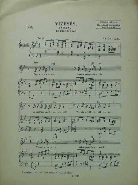 Bradányi Iván - Vizesés [antikvár]