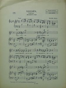 Bradányi Iván - Vizesés [antikvár]