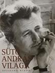 Molnár Edina - Sütő András világa [antikvár]