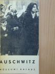 Kazimierz Smolen - Auschwitz 1940-1945 [antikvár]