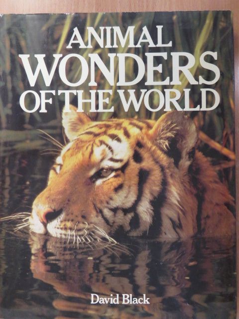 David Black - Animal Wonders of the World [antikvár]