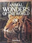 David Black - Animal Wonders of the World [antikvár]