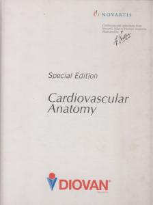 Frank H. Netter - Cardiovascular Anatomy [antikvár]