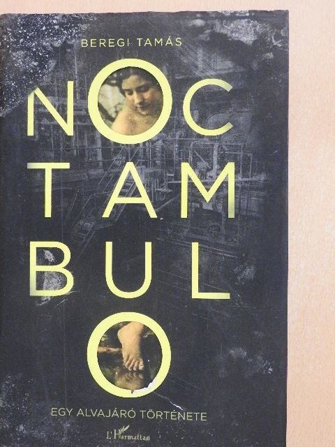 Beregi Tamás - Noctambulo [antikvár]