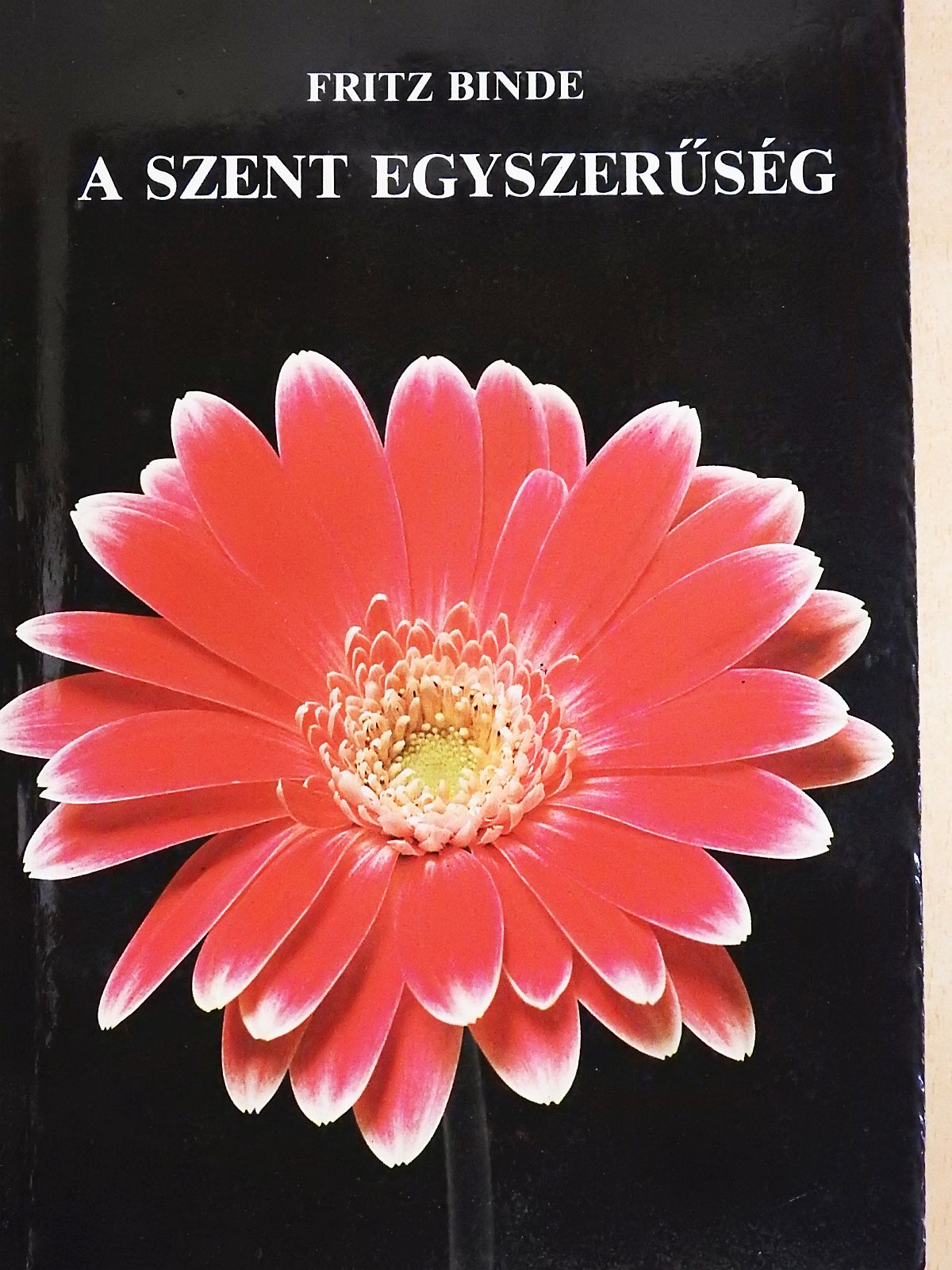 Fritz Binde - A szent egyszerűség [antikvár]