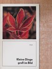 Dr. Arnim Tölke - Kleine Dinge groß im Bild [antikvár]
