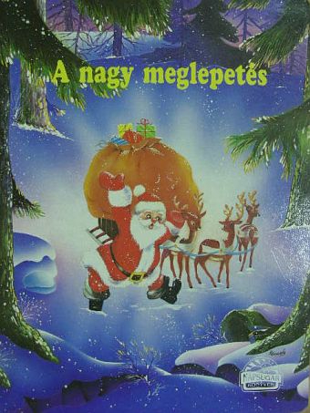 Karin Weber - A nagy meglepetés [antikvár]