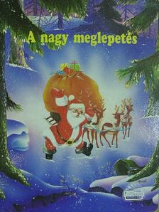 Karin Weber - A nagy meglepetés [antikvár]
