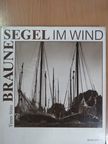 Timm Stütz - Braune Segel im Wind [antikvár]