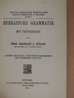 Prof. Hermann L. Strack - Hebräische grammatik mit Übungsbuch [antikvár]