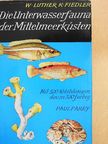 Priv.-Doz. Dr. Kurt Fiedler - Die Unterwasserfauna der Mittelmeerküsten [antikvár]