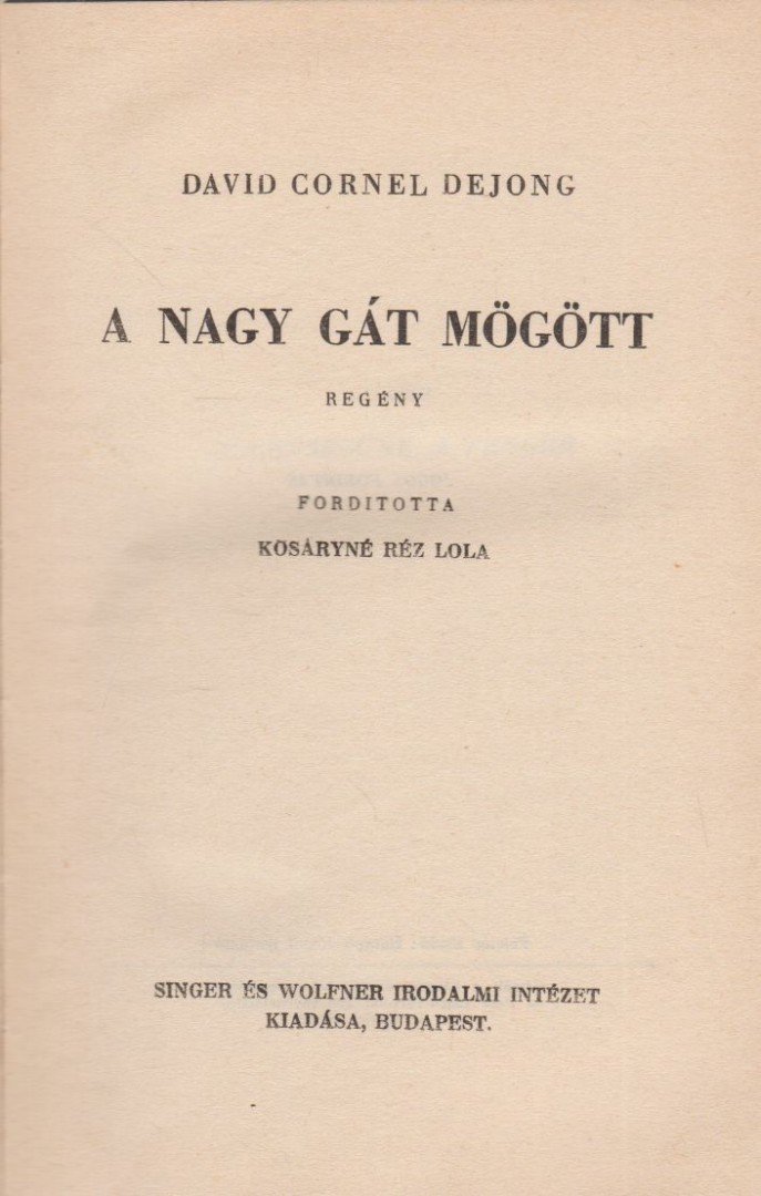 Cornel Dejong, David - A nagy gát mögött [antikvár]