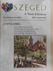 Arany Mihály - Szeged 2013. szeptember [antikvár]