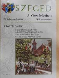 Arany Mihály - Szeged 2013. szeptember [antikvár]