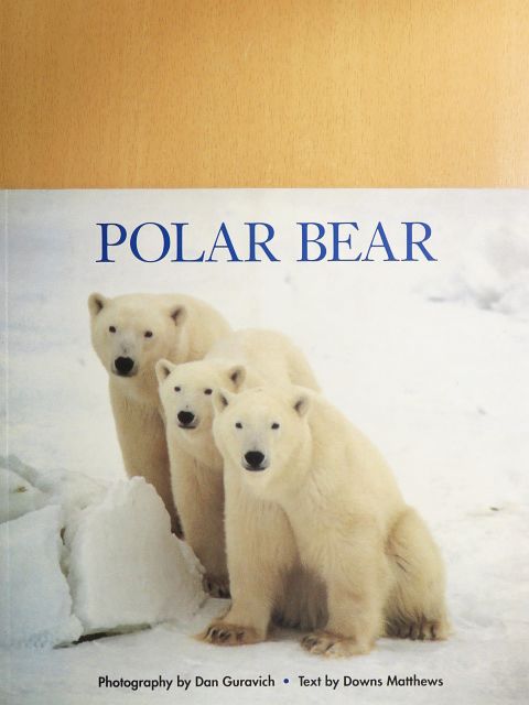 Downs Matthews - Polar Bear [antikvár]