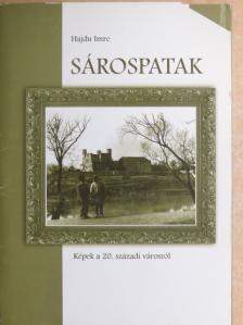 Hajdu Imre - Sárospatak [antikvár]