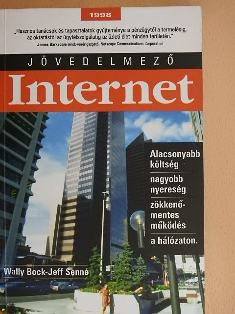 Jeffrey N. Senné - Jövedelmező Internet [antikvár]