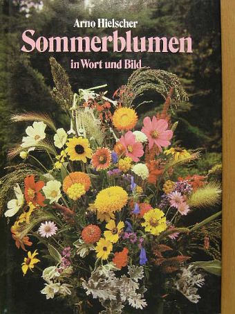 Arno Hielscher - Sommerblumen in Wort und Bild [antikvár]