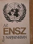 Bokorné Szegő Hanna - Az ENSZ napjainkban [antikvár]