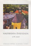 Hann Ferenc - Nagybánya évszázada (a XX. század) [antikvár]