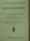 Prof. Dr. Wolfgang Ostwald - Kleines praktikum der kolloidchemie [antikvár]