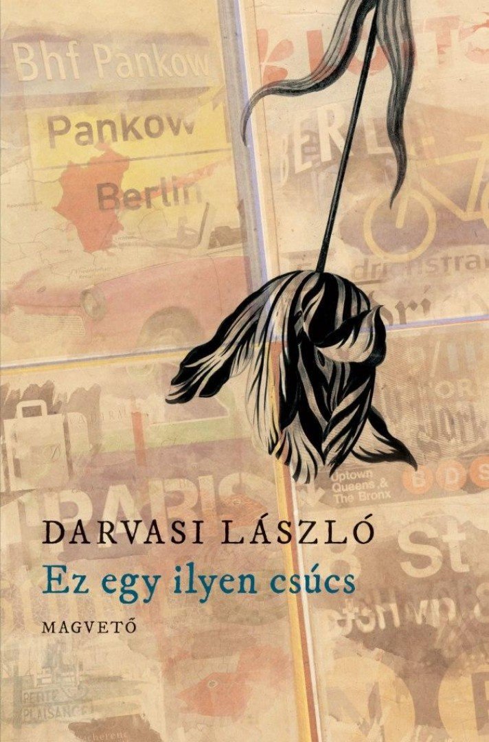 DARVASI LÁSZLÓ - Ez egy ilyen csúcs [antikvár]